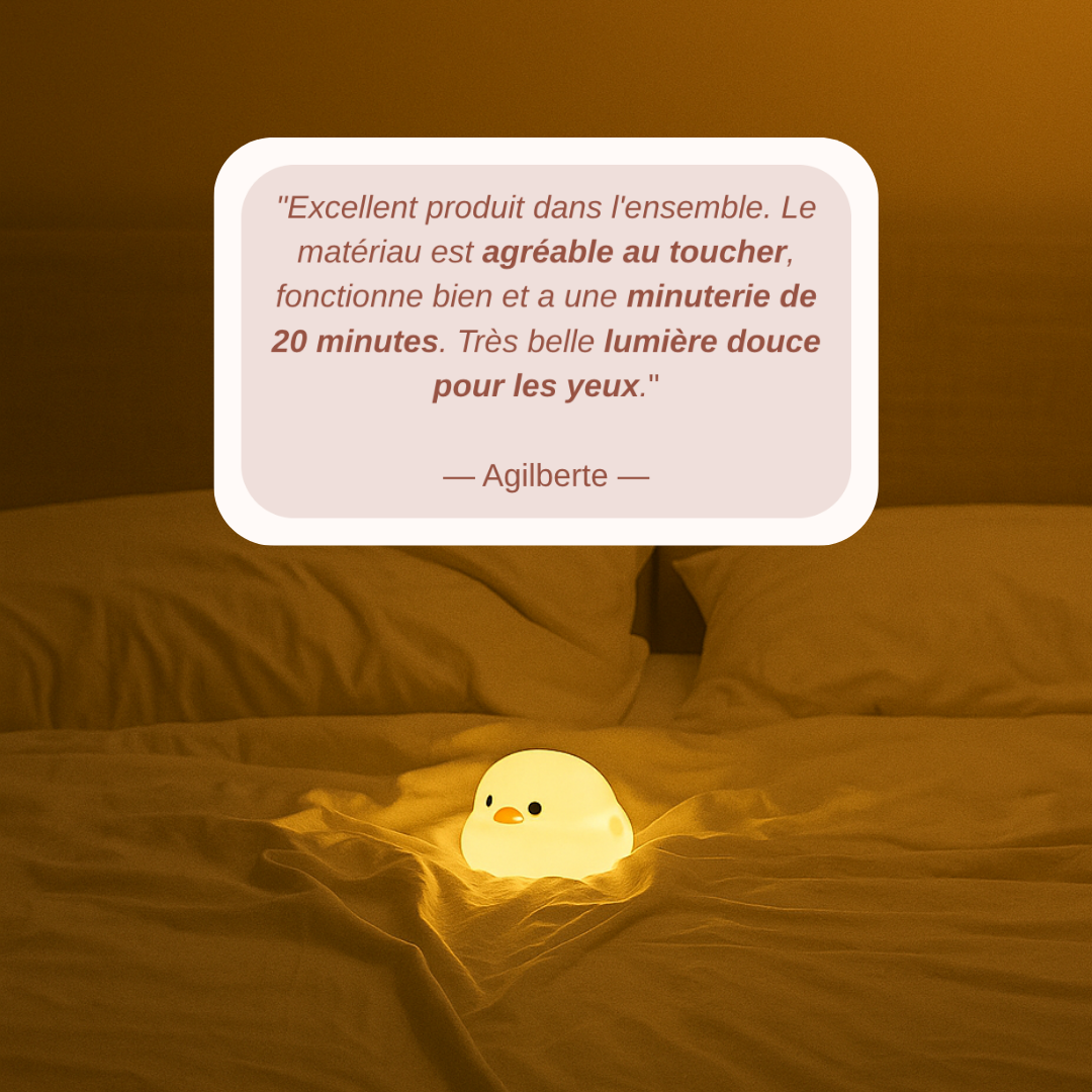 Veilleuse Canard debout